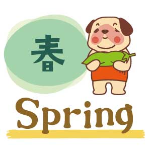 spring_img