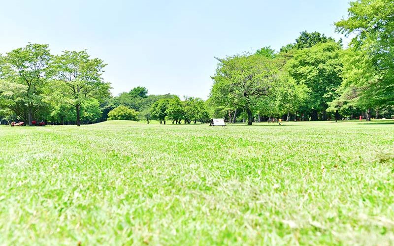 green_03 green_03